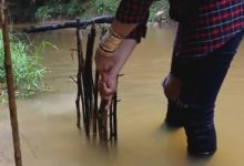 聪明女人做了一个简单陷阱来抓鱼-孙健个人博客