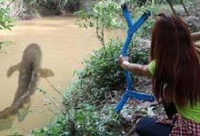 【了不起的女孩】用PVC管做复合弓射鱼-孙健个人博客