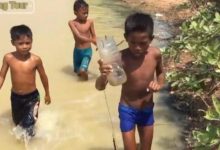 三个小孩子用可乐瓶做起来抓鱼-孙健个人博客